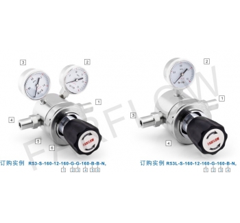 R53系列中等流量減壓器